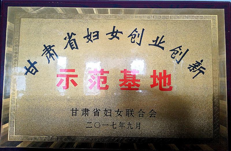 20179¸ʡŮϻʡŮҵʾ